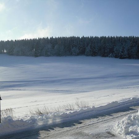 Apartment Sonnenschein Braunlage Exteriör bild