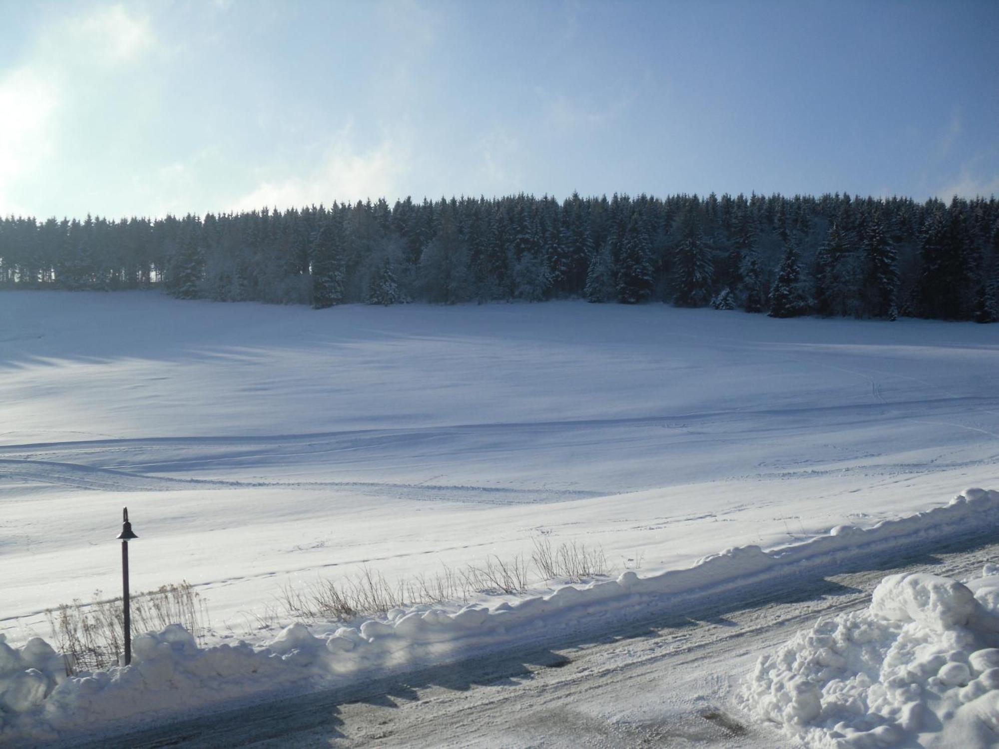 Apartment Sonnenschein Braunlage Exteriör bild