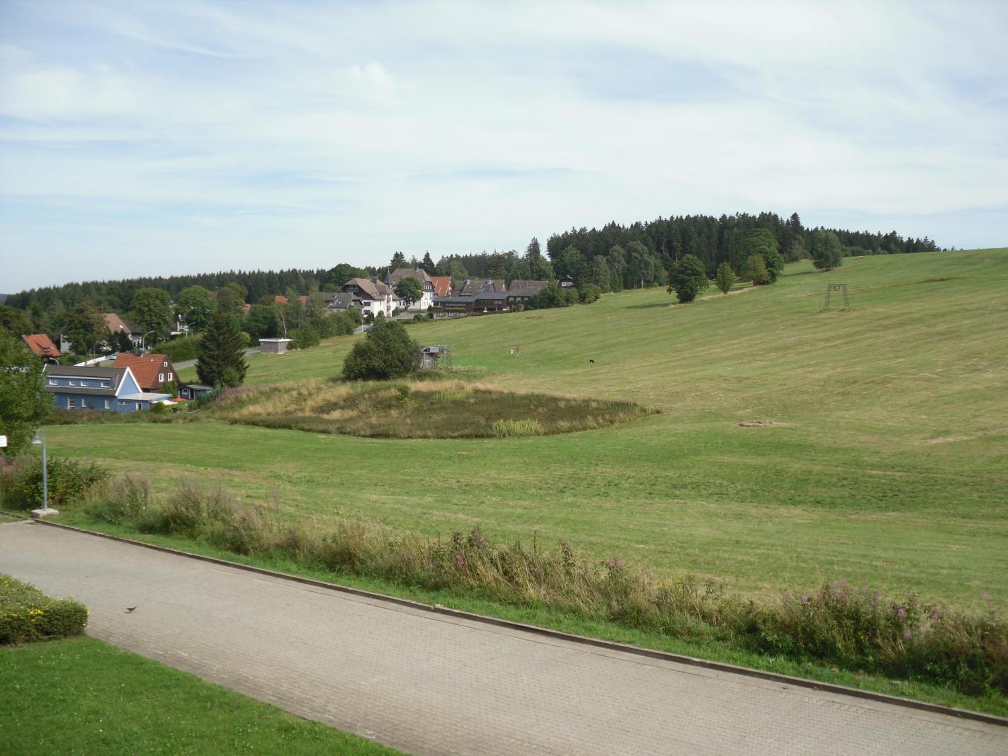 Apartment Sonnenschein Braunlage Exteriör bild
