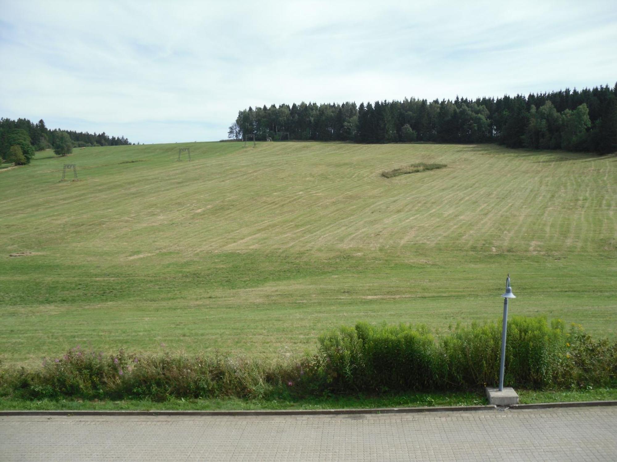 Apartment Sonnenschein Braunlage Exteriör bild