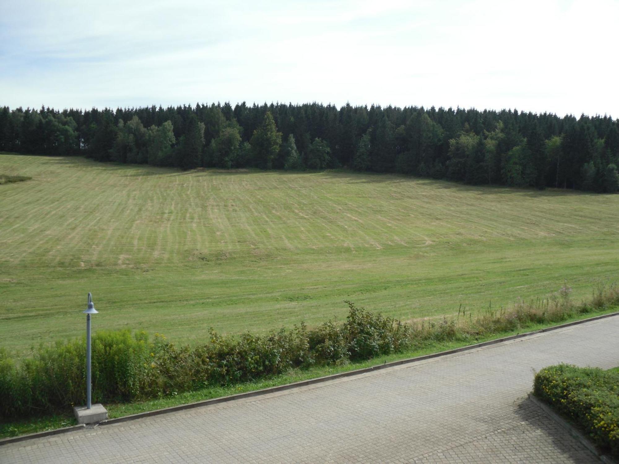 Apartment Sonnenschein Braunlage Exteriör bild